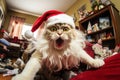 Cat left alone at home wreaks havoc in a room decorated for Christmas Royalty Free Stock Photo