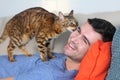 Cat licking owners face at home Royalty Free Stock Photo