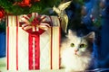 Cat under Christmas tree with gifts Royalty Free Stock Photo