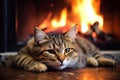 The cat lies near the fireplace. Cozy warm home. Close up. Generative Ai Royalty Free Stock Photo