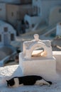 A cat lies in the shade of a house in the Santorini archipelago