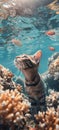 Cat life studying coral reef and marine life Royalty Free Stock Photo