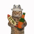 Cat likes beer with hot dog 2 Royalty Free Stock Photo