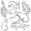 Cat Line Designs-Set 1