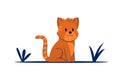 Cat litte kitten vector character. Cute feline kitty animal.