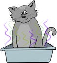 Cat in a litter box Royalty Free Stock Photo