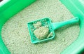Cat litter box for toilet of a cat with green scoop Royalty Free Stock Photo