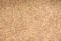 Cat litter made of wood sawdust, texture