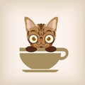 Cat logo coffee vector.