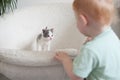 Cat look at the baby Royalty Free Stock Photo