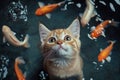 A cat is looking at a fish in a fish tank Royalty Free Stock Photo