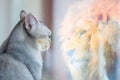 Cat looking at mirror and sees itself as a lion. Self esteem or desire concept Royalty Free Stock Photo