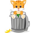 Cat looking out trash can Royalty Free Stock Photo