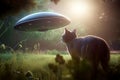 The cat looks at alien plate hovering in the air above a forest clearing.