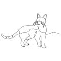 The cat looks around. A continuous line. Vector illustration drawn with a single line