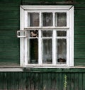 The cat looks out of the window of the village house