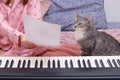 A cat looks at sheet music on a piece of paper, writing music by a composer at a digital piano Royalty Free Stock Photo