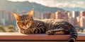 cat lounging on a sun-drenched balcony, with a panoramic view of a city skyline or natural landscape in the background