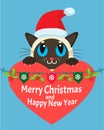 A Cat In Love. Happy New Year Card Christmas Kitty With Red Santa Hat. Royalty Free Stock Photo