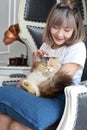 Cat lover concept. Beautiful Asian woman sitting on the couch And carrying a cat on his hand with love. Cute girl and cat. Royalty Free Stock Photo