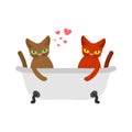 Cat lovers in bath. Lover Joint bathing.. Pet Romantic date. Cat