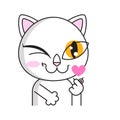 Cat loves k pop. Korean symbol hand heart
