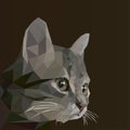 Cat low poly design