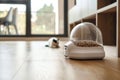 Cat lying in background with automatic feeder in focus, depicting pet care and modern convenience