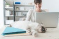 Cat lying down on a desktop Royalty Free Stock Photo