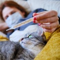 The cat is lying at the feet of a woman with coronavirus. The girl looks at the thermometer lying in bed