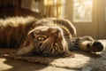 Cat lying on floor with head tilted back Ai photo Royalty Free Stock Photo