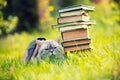 Cat lying on the grass under old book Royalty Free Stock Photo