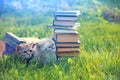 Cat lying on the grass under the old book Royalty Free Stock Photo