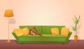 Cat lying on sofa in living room cozy interior, retro couch with brown kitten and pillows