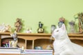 Cat lying on the writing table Royalty Free Stock Photo