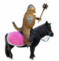 Cat with a mace on a black horse Royalty Free Stock Photo