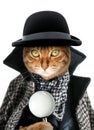 A cat with a magnifying glass dressed as a detective or sleuth