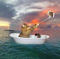 Cat makes selfie in bathtub in sea Royalty Free Stock Photo