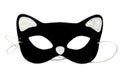 Cat mask Royalty Free Stock Photo