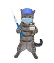 Cat in mask and hat with vaccine