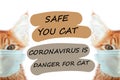 Cat in mask save you cat save life from coronavirus