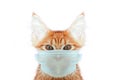 Cat in mask save you cat save life from coronavirus