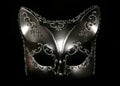 Cat masquerade mask Royalty Free Stock Photo