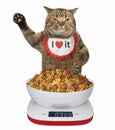 Cat with food scale Royalty Free Stock Photo