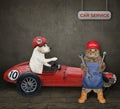 Cat mechanic fixing red sports car Royalty Free Stock Photo
