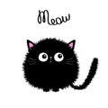 Cat Meow text. Black round fluffy kitten face head body, tail. Fat kitten. Cute cartoon character. Kawaii baby pet animal.