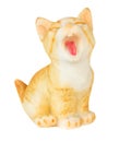 Cat model open mouth, perk up and stick out one's tongue