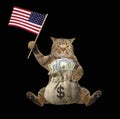 Cat with money and us flag 2 Royalty Free Stock Photo