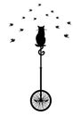 Cat on monocycle with birds, vector Royalty Free Stock Photo