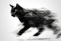 The cat moonwalks across the room, channeling the spirit of MJ with every smooth glide. A moonwalking feline in abstract style. Royalty Free Stock Photo